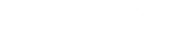 Limousine Service Hamilton